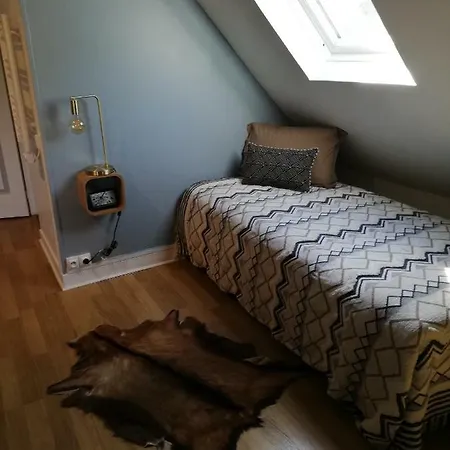 Henri Ii Ле-Ман